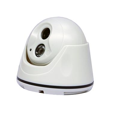 China Internet Dome Megapixel IP Camera Plug And Play IP Security Cameras for sale