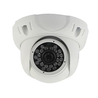 China Indoor Dome 1080P 2 Megapixel IP Camera High Resolution With Auto Gain Control for sale