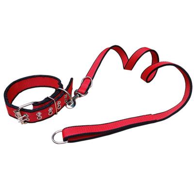 China Durable Hot Selling Strong Outdoor Fashion Non Slip Dog Training Collar And Leash Set for sale