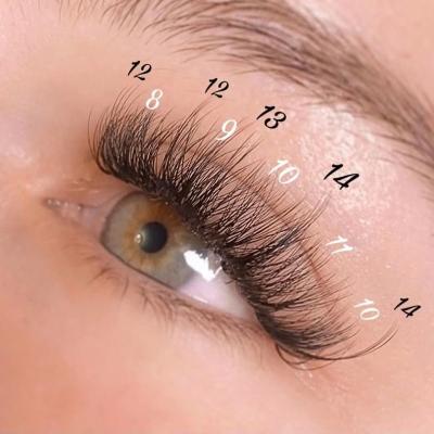 China Veyelash Natural Individual Long Eyelash Extensions Private Label Classic Lashes Volume Eyelash Extension Russian Supplier for sale