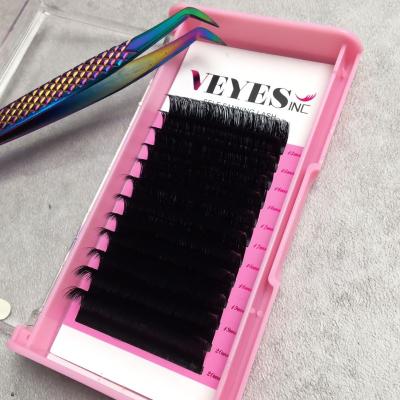 China Long Natural Veyelash 100% Different Handmade Private Label Korean PBT Eyelash Extensions for sale