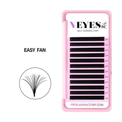 China Wholesale Long Veyelash Eyelash Extensions Fan Natural Easy Lashes Private Label PBT Korean Russian Volume Lashes for sale