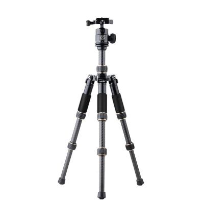 China Professional Portable Table Mini Tripod Monopod Carbon Fiber FOSOTO Q166C Travel Carbon Fiber Stand and Ball Head for SLR DSLR Digital Camera for sale