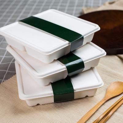 China Eco Friendly Food Sugarcane Bagasse Pulp Clamshell 4 Grids Bento Container With Belt Disposable Biodegradable Packaging For Food for sale