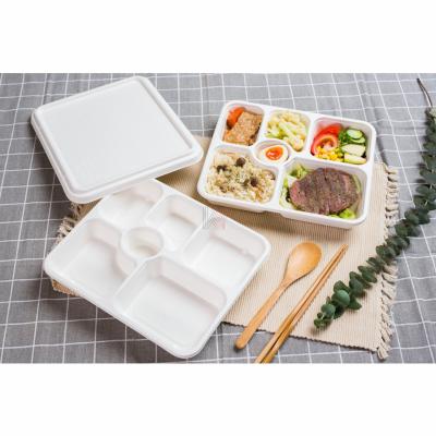 China Eco-Friendly Bagasse Pulp-6 Grids Sugarcane Food Sugar Cane Bento Container Set Disposable Take-Out Packaging Biodegradable For Food for sale