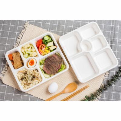 China Pulp-Disposable Eco-Friendly Food Sugarcane Bagasse Food Tray With 6 Compartments Biodegradable Packaging For Food for sale