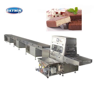 China Factory Skywin Chocolate Flavoring Industrial Coating Machine Enrobing Line For Biscuit Cookies Cake for sale