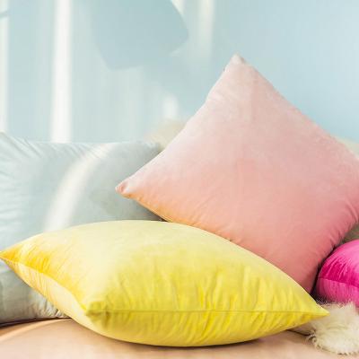 China Anti-static empty cushion cover home deco plaincushion cover pillow cases velvet cushion cover for sale