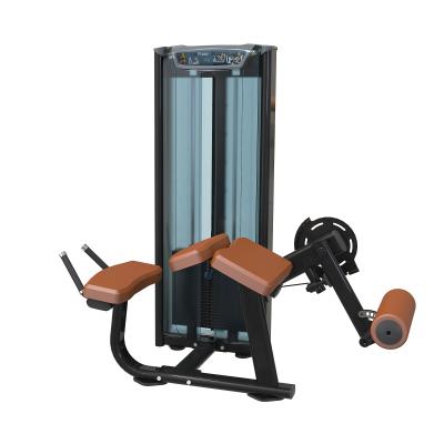 China Universal High Quality Product Prone Leg Curl Home Gym Station App Strength Training for sale