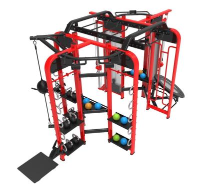 China Multifunctional Bodybuilding Synrgy 360 Crossfitrig 6 Doors Gym Equipment for sale