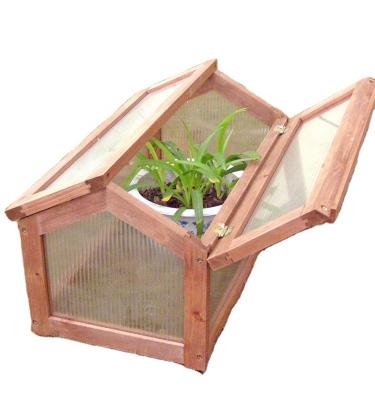 China Modern Hot Sale Wooden Frame Outdoor Green Plant With PVC Daylight Panels Greenhouse for sale