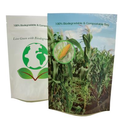 China Biodegradable Custom Smell Proof Poly Food Paper Bag Packaging Holder Up Biodegradable Ziplock Bags for sale