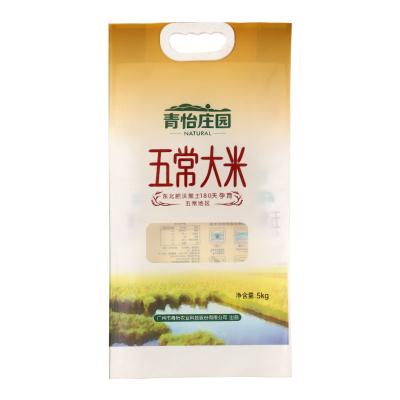 China Crash Resistance Custom Logo Basmati Different Types Food Grade 2Kg 5Kg 10Kg 25kg Biodegradable Empty Plastic Rice Packaging Bags With Handles for sale