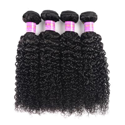 China Small Luster Brazilian Curly Hair Extension Wig Chemical Fiber Wig In Hair Natural African Curtain Fashion for sale