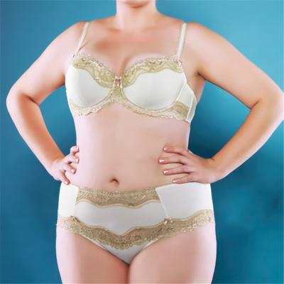 China Fine Workmanship Big Size Bra Women Panties Plus Back Set Plus Size for sale