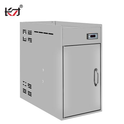 China BXC-19 COMPRESSOR mini milk fridge for sale