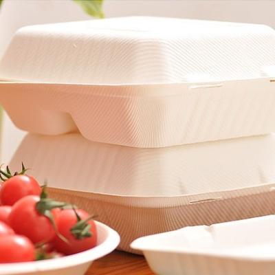 China Biodegradable Eco - Friendly Packaging Food Boxes Bagasse Takeout Box For Bio Food Pack 3 Compartments Bagasse Food Container for sale