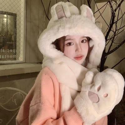 China Super cute long ears wholesale rabbit hat and scarf all in one women's hat windproof winter for sale