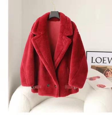 China Newest Style Shearling Spring Style Shearling Coat Teddy Bear Coat Women's All-in-one Short Full Wool Breathable Lamb Fur Full Wool Shorts for sale