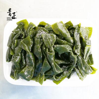 China FROZEN/Wakame Best Price Frozen Kelp Salt Knot for sale