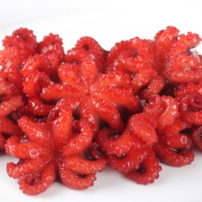 China 2018 Popular Ost Baby Frozen Seasoned Octopus 26-40pcs/lb.40-60pcs/2lb for sale