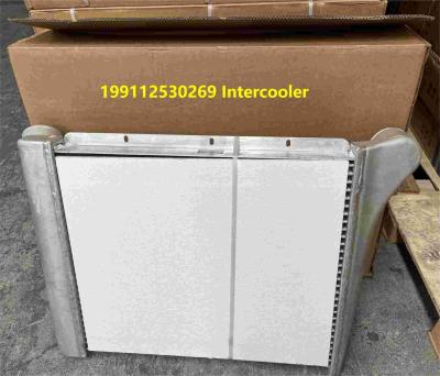 Cina 199112530269 Ricambi per camion Shacman Intercooler Assemblaggio Ricambi per camion Shacman F3000 in vendita