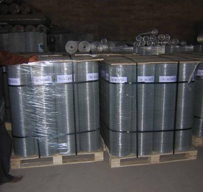 China galvanized welded wire mesh/galvanized welded wire mesh panel/galvanized welded wire mesh roll for sale