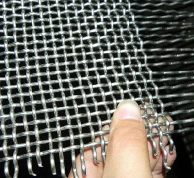 China 6 Mesh Electro Galvanized Square Wire Mesh Low Carbon Iron Netting for sale