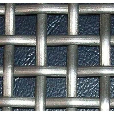 China crimped square wire mesh / crimped screen mesh for sale