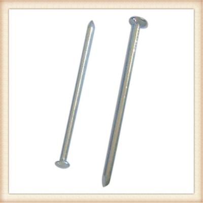 China common wire nails for sale