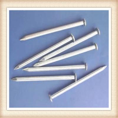 China concrete nail/common nail/nail for sale