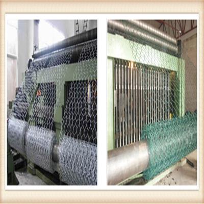 China Galvanized Chain Link Fence/Chain Link Wire Mesh Fencing for sale