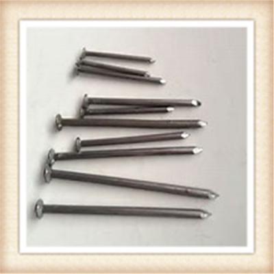 China Common Nail for sale