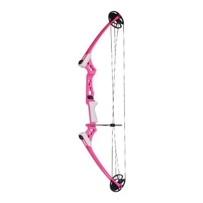 China Durable Professional Archery Compound Bow Compound Shooting Youth Compound Bow for Archery for sale