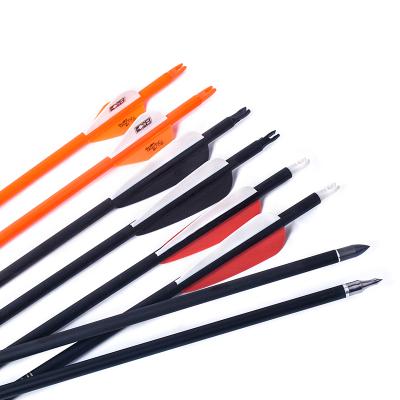 China Archery Target Three Color TIR Mixed Carbon Recurves Compound Bow Bow Hunting Carbon Arrows for sale