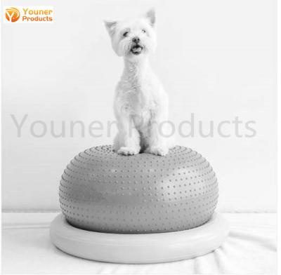 China Balance Balls Dog Toys Interactive Pet Football Toys Chase Pet Donut Outdoor Training Balls For Dog Accessories for sale