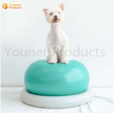 China Balance Balls Dog Toys Anti Burst Inflatable Fitness Balance PVC Donuts Gym Ball for sale