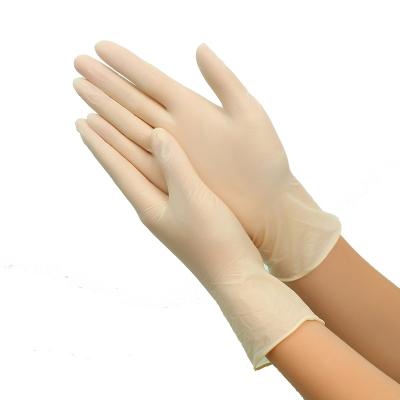 China Hot Sale Manufacturer Rubber Wholesale Food Powder Free Grade Powder Free Latex Gloves for sale