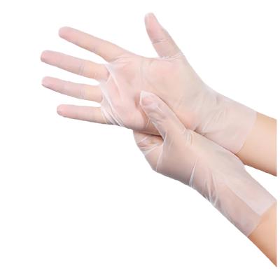 China Food Handling Food Grade Household Elastic Band Gloves Plastic Safety Gloves for sale