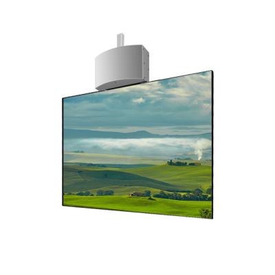 China New Indoor Good Price Dual Side Hanging In-Glass OLED Double Sided Display for sale