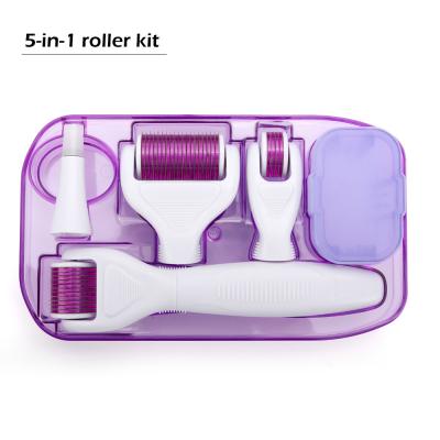 China Anti-Puffiness 4/5/6 in 1 Derma Roller Needle Roller Micro Needles Titanium Microneedle Mezoroller Kit Machine Skin Care BodyTreatment for sale