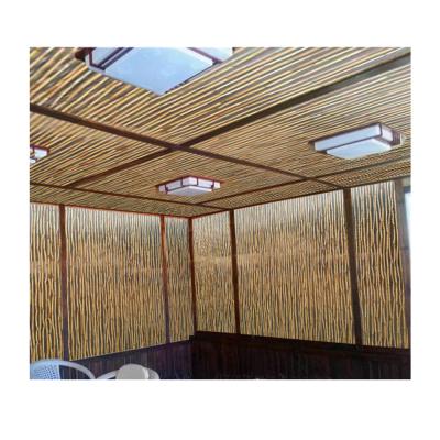 China Light Transmission Hollow Polycarbonate 8mm Bamboo Polycarbon Plastic Sheet For Panel Bamboo for sale