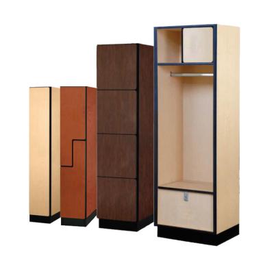 China Metal Frame Z-Shape Door 2-Tier Fitness Lockers Delivery Locker EN438 Hpl Board & Board & EN476 for sale