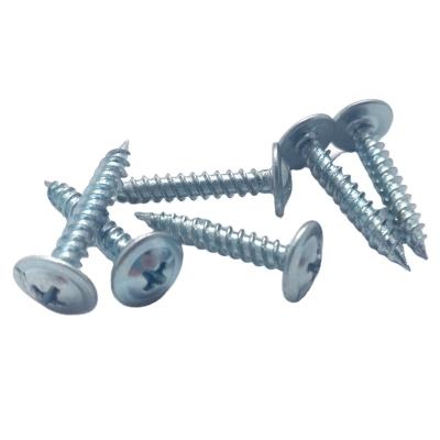 China Promotion Truss Head White Galvanized Truss Head Screws Tapping Screws for sale