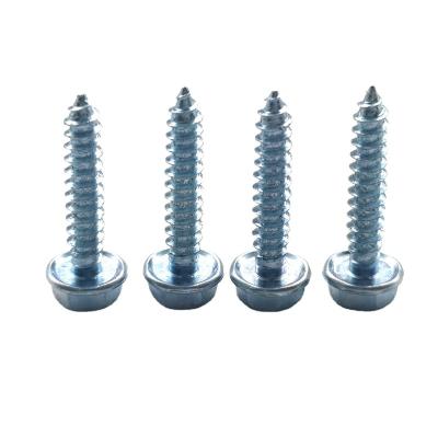 China Wholesale High Quality White 2022 Hex Head Screws Hex Head Self Tapping Screw for sale