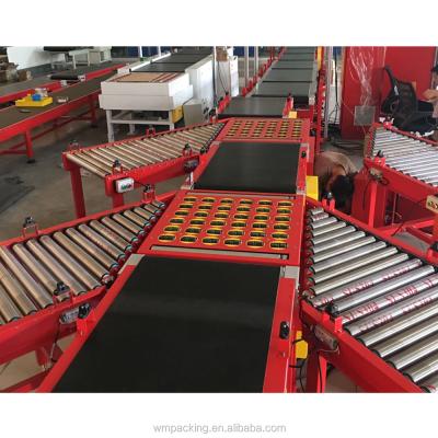 China Heat Resistant Parcel Sorting System Belt Conveyor Using For Warehouse E-commerce Express Logistics for sale