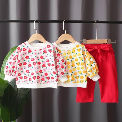 China Sunny Baby Infant Girl's Autumn Clothes Breathable Two-Piece Costume and Children's Clothing for sale