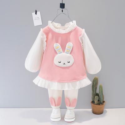 China 2021 Sunny Baby Baby Girl Autumn Two-Piece Set Baby Suit Kids Breathable Long Sleeve Clothing Set for sale