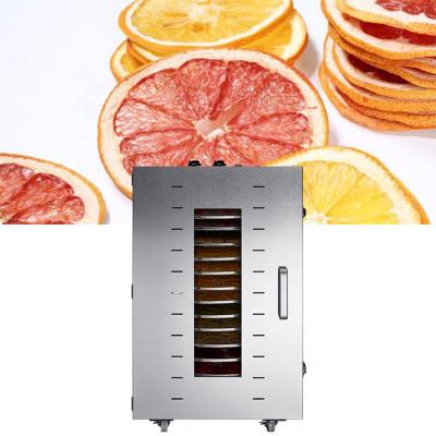 China Food& Rotary Oven Vacuum Fruit Plant Beverage Multifunctional Iced Dryer Fruit Dryer For Fruits And Vegetables for sale