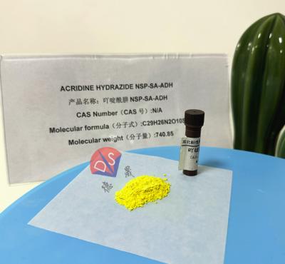 China The Labeling Principle And Application Of Acridine Hydrazide NSP-SA-ADH for sale